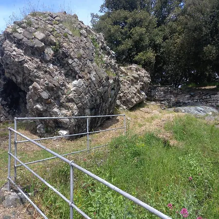 Il Colle Della Brina サルツァーナ