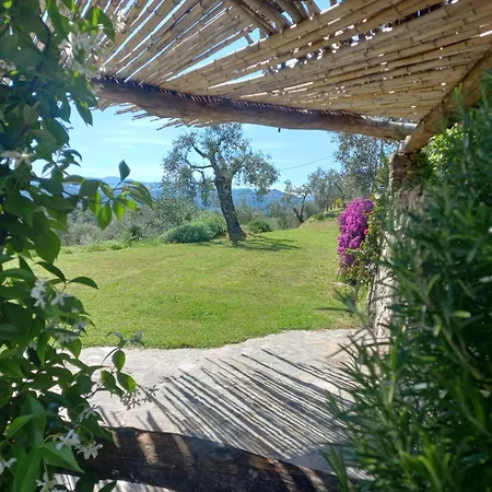 Il Colle Della Brina Guest house Sarzana