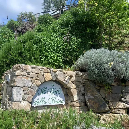 Guest house Il Colle Della Brina *