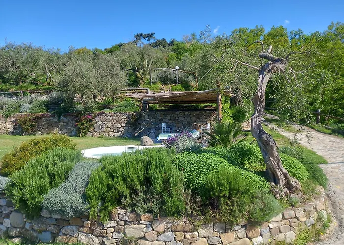 招待所 Il Colle Della Brina 4*