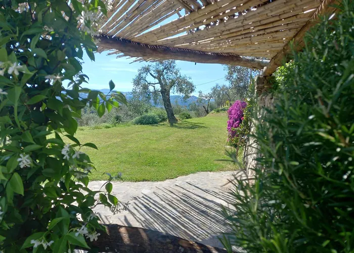 Il Colle Della Brina Gæstehus Sarzana