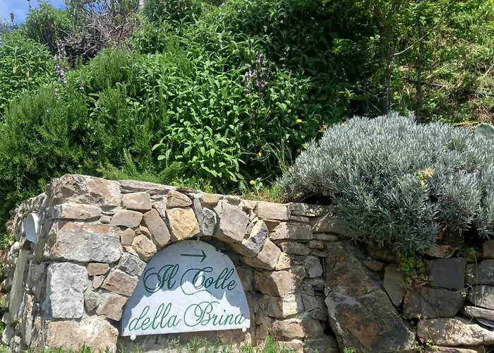 招待所 Il Colle Della Brina 4*